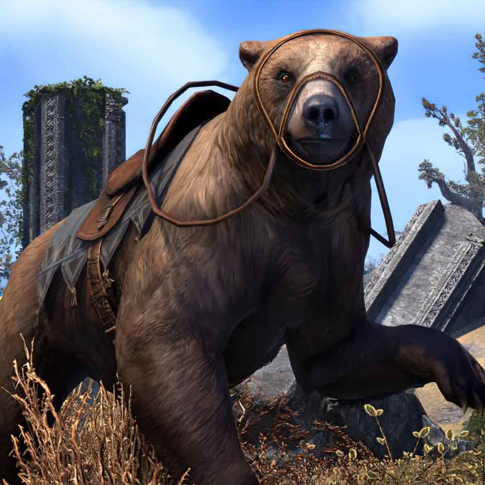 Hell bear. Bear Mount.